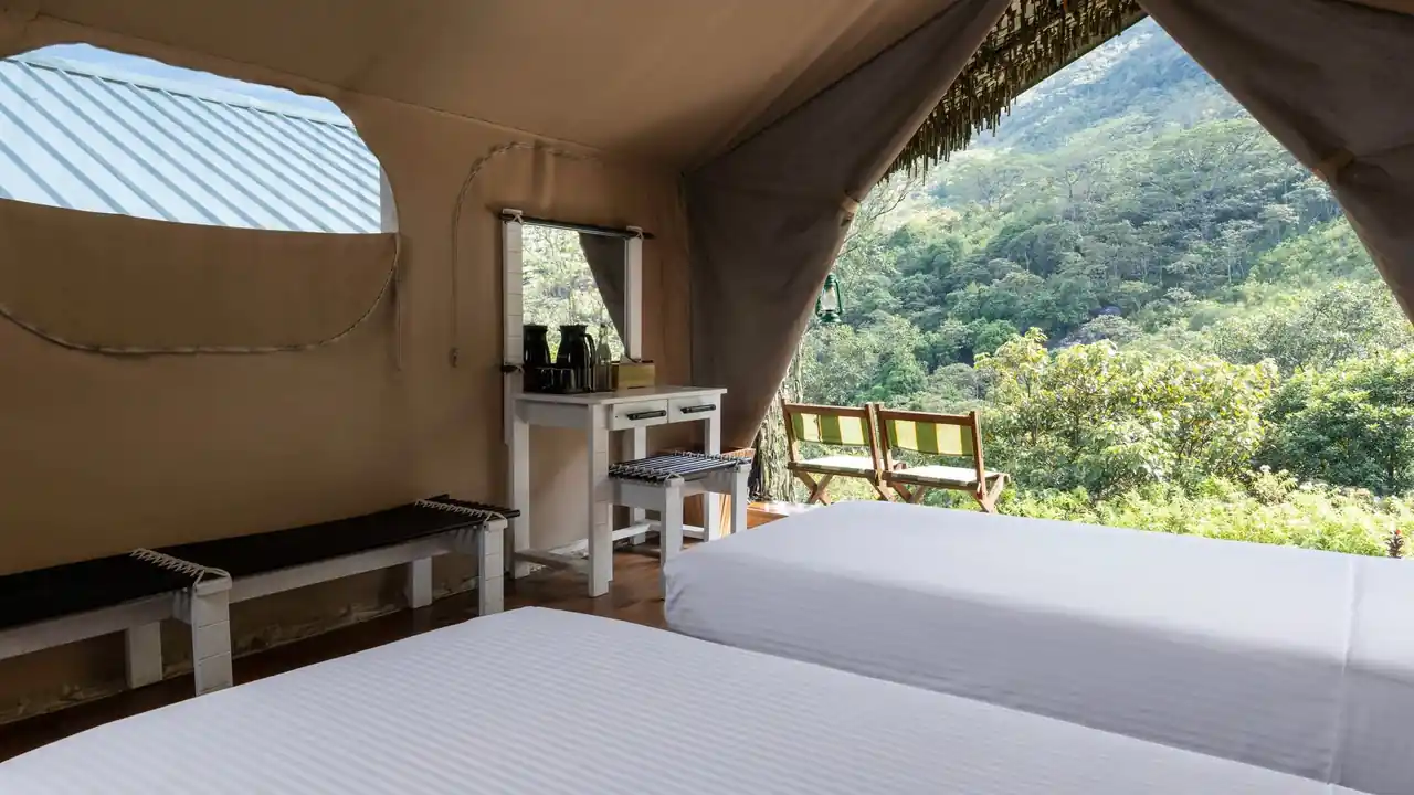 Wild Glamping - Knuckles banner