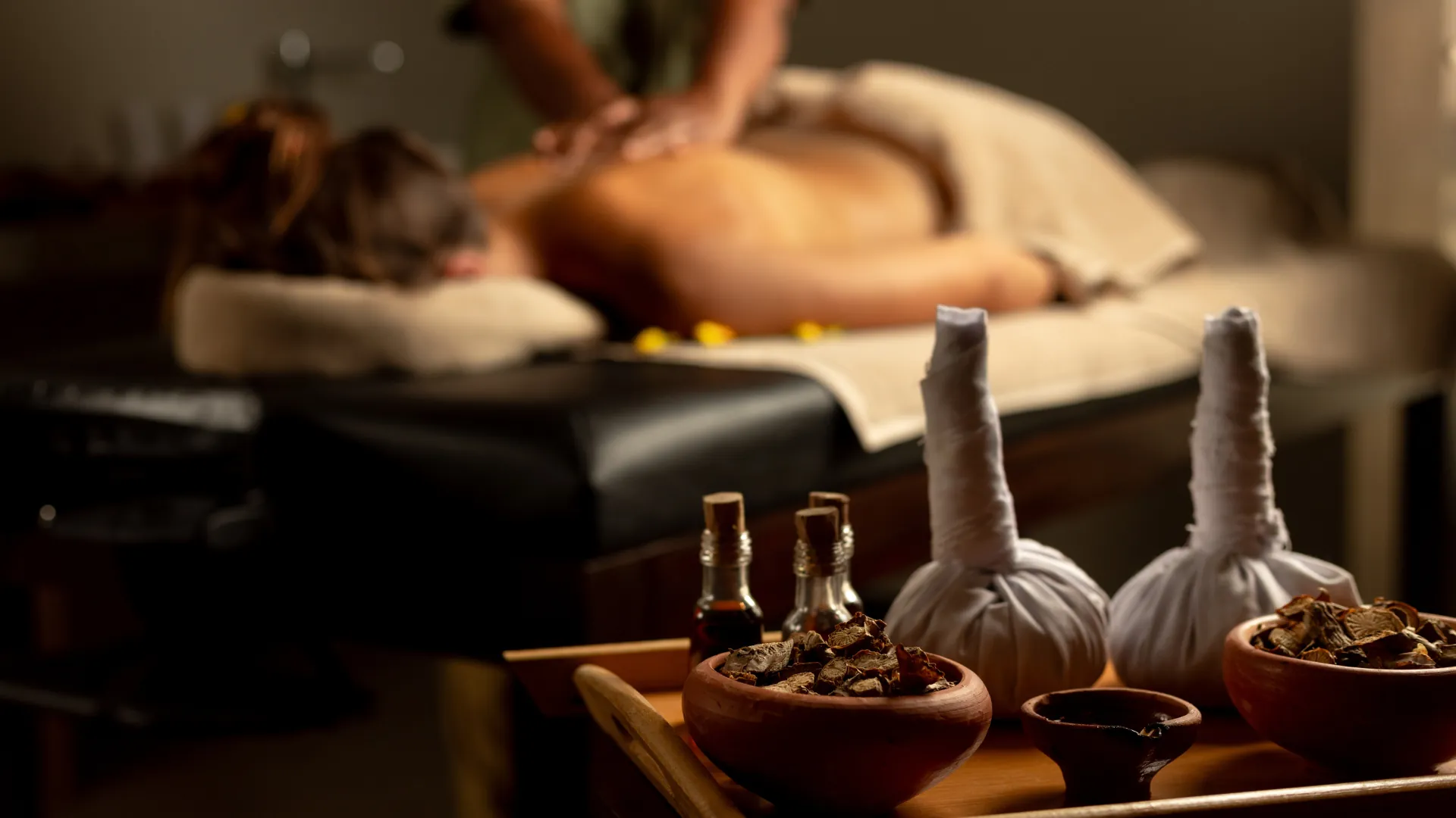 Ayugiri Ayurveda Wellness Resort banner