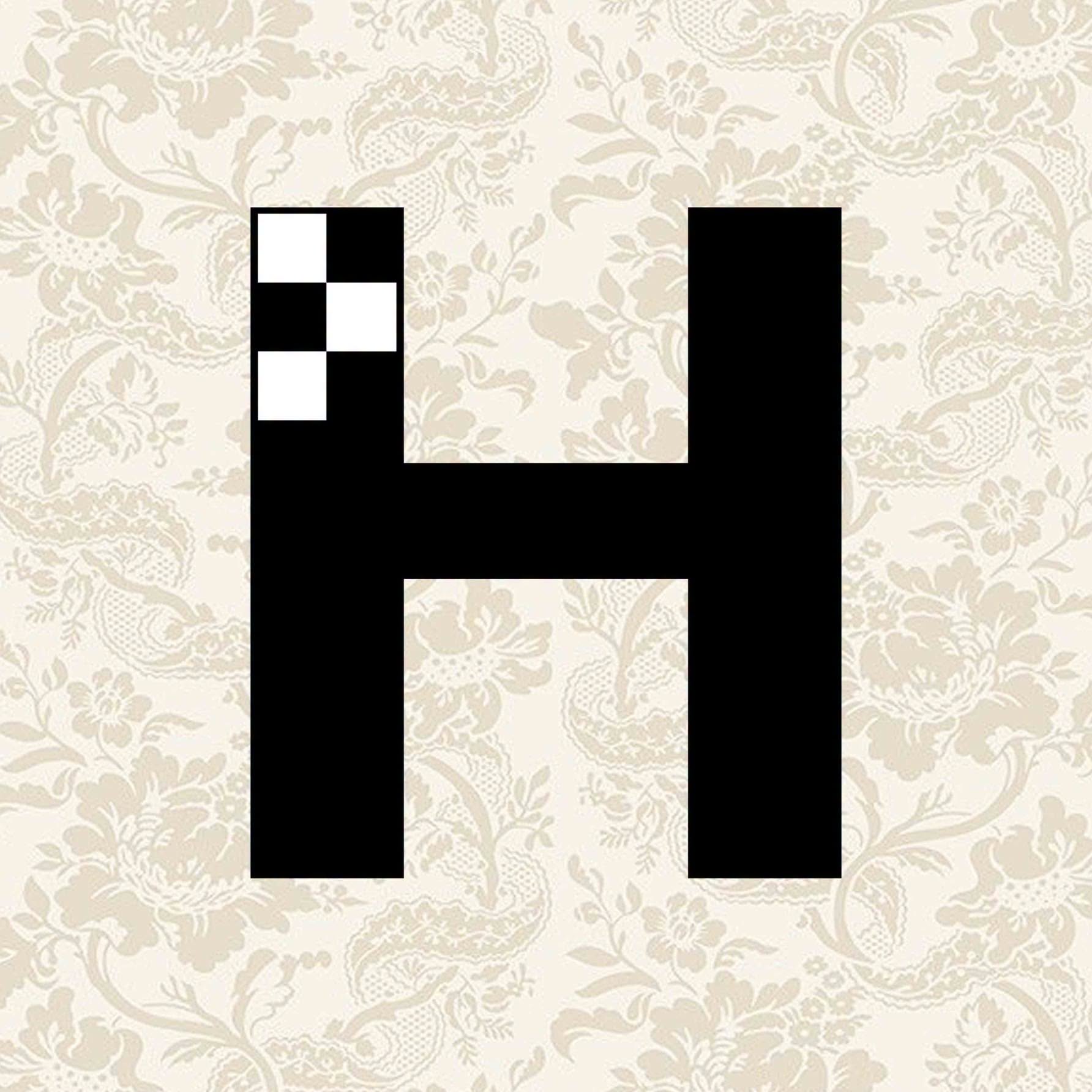 Hameedia's Logo